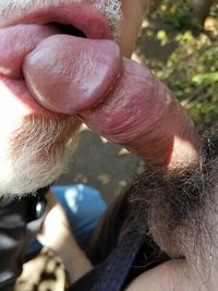 Sucking dick in one of my favorite local parks