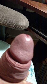 My cock. What do you think of him?