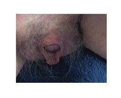 this morning's soft hairy penis