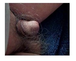 this morning's soft hairy penis