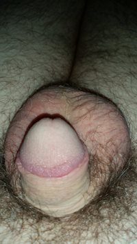 many guys have sucked my cock.