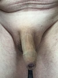 Feeling horny,my cock wants sucking