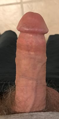 Enjoy these pics of my hard cock!