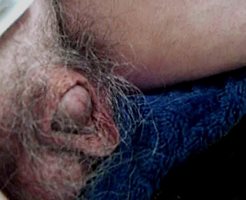 closeup hairy penis