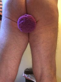 New butt plug toy