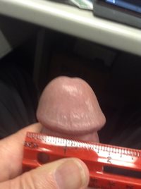 Any one like to cum and take care of my hard cock??? Like fat mushrooms