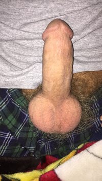 Morning wood..could use some help..