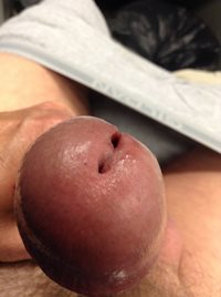 Like to see  your lips wrapped around my mushroom cock