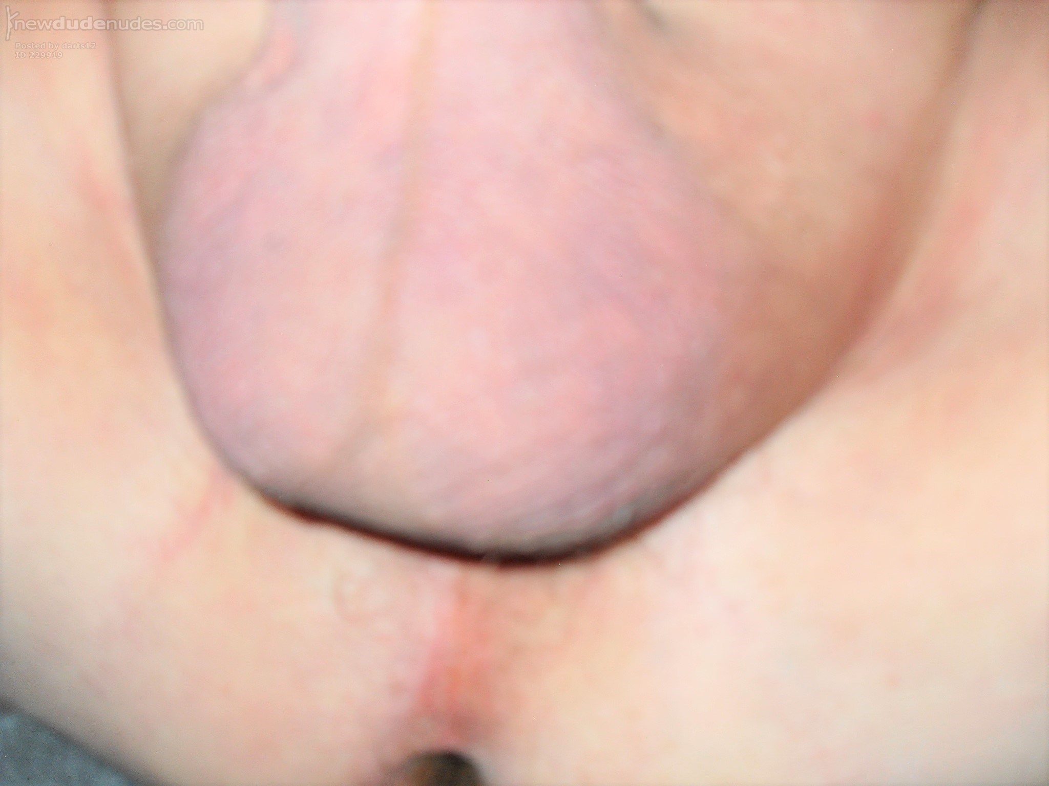 could you by any chance use my pussy ??