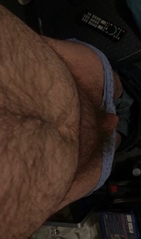 Belly and cock
