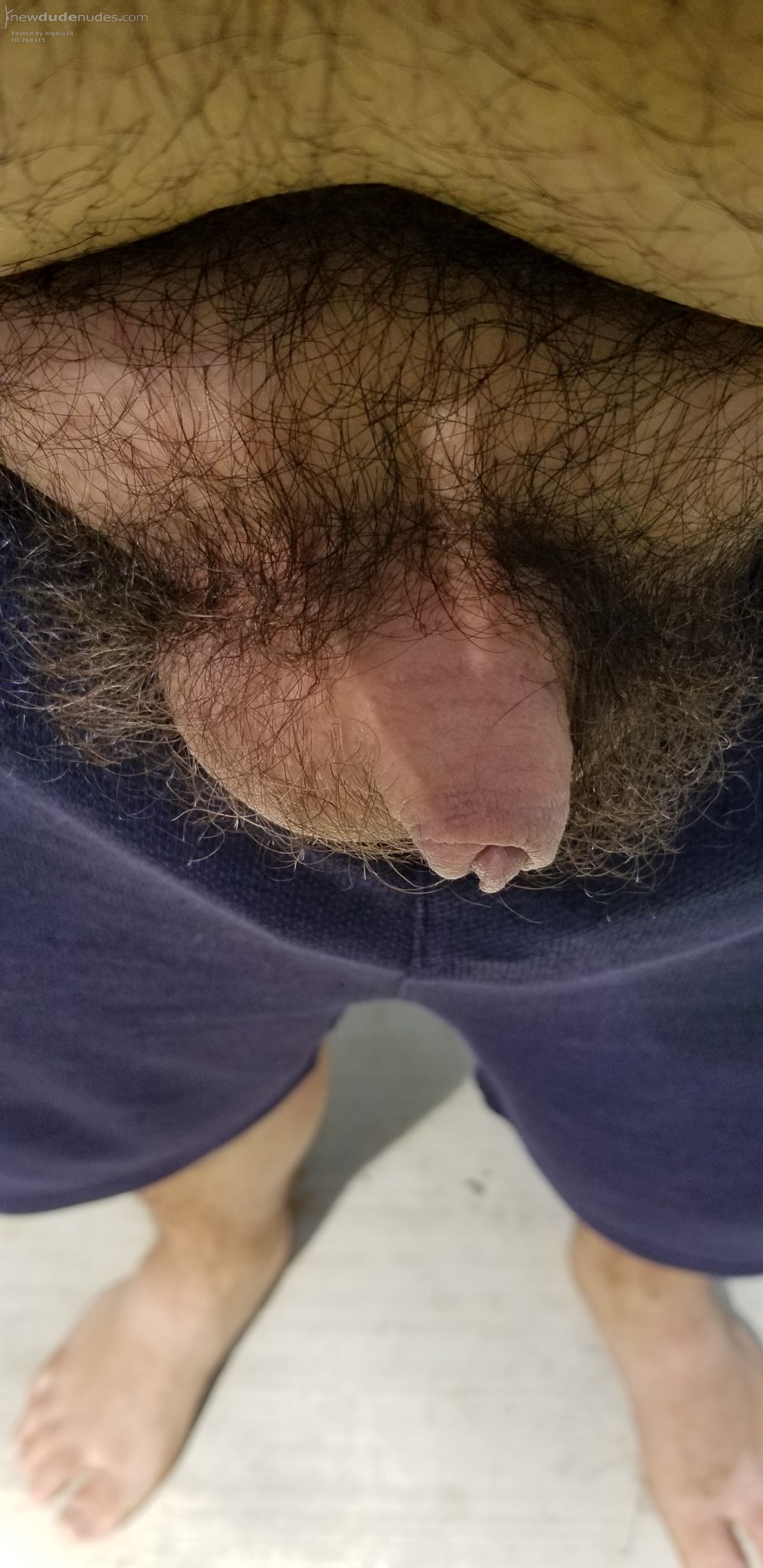 my little penis