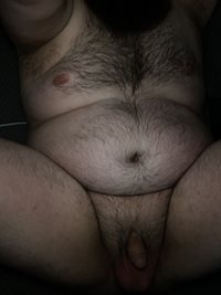 chubby bear and hairy  here , wanting the same if your in Michigan email me...