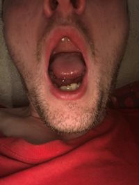 I want your cock in my mouth