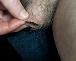 closeups of small penis this morning