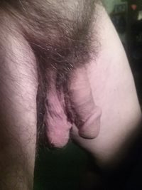 Balls really hanging....cock wants sweet lips...pm me....horney for lips ar...