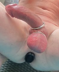 New Triple cock ring