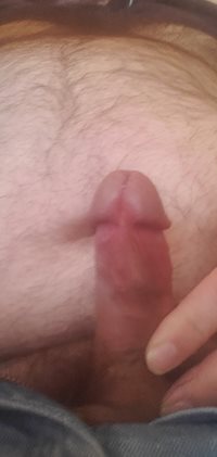 need a cock to play with