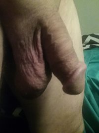 Just had my cock sucked on...surprise, the little guy wants more...anyone?