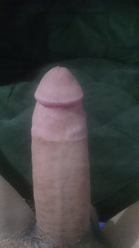 What would you like to do with this cock.?
