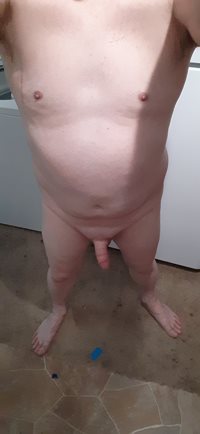 Freshly  shaved  cock