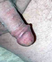 Just a dick pic 1