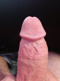 Who wants to squeeze my veiny cock?