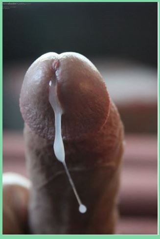 Cock shooting out a load of cum 