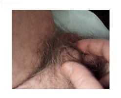 touching my tiny hairy penis