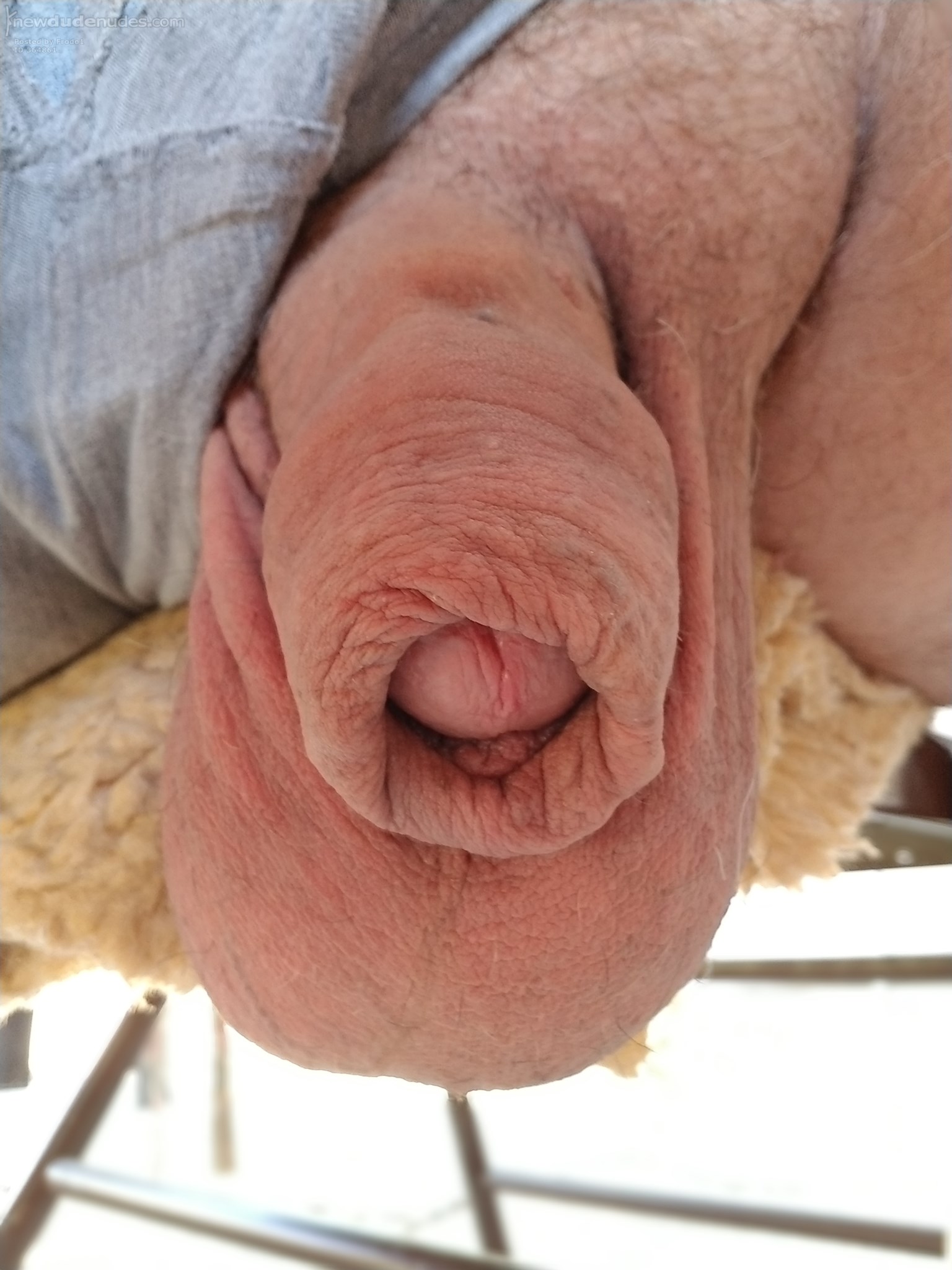 Hanging in the backyard