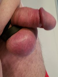 My cock with ball stretcher