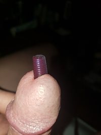 My favorite purple worm