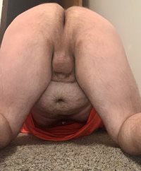 I'm a horny chubby bear looking to get it rough I'm ready to be mounted and...