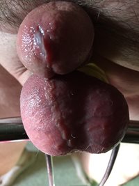"Head"-on photo of my horny 74 yr. old stretched balls