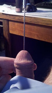 Fucking my penis with my sounding rod.