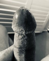 My Precum glazed glans penis