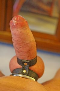 a well masturbated penis