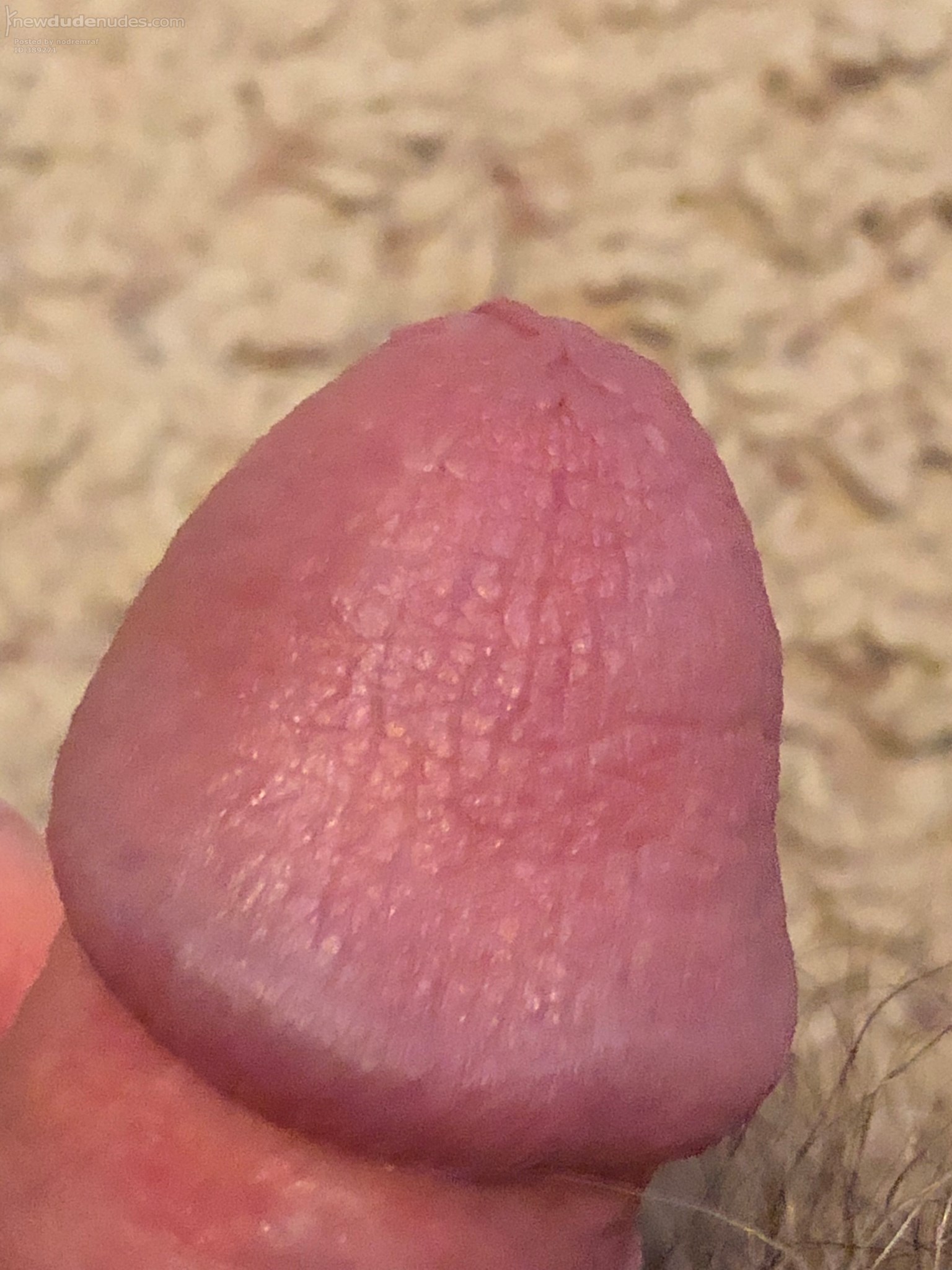 What else is there to do on a snowy afternoon but play with my favorite toy...