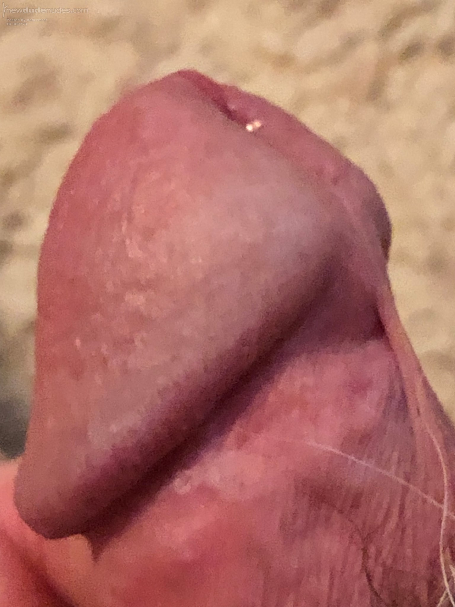 What else is there to do on a snowy afternoon but play with my favorite toy...