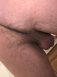 I need a nice cock to ride my ass