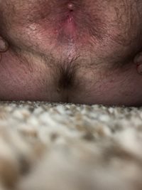 Need a cock to service