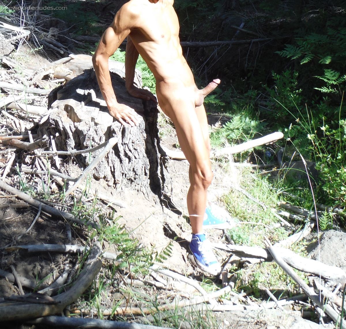 My cock needs some attention.