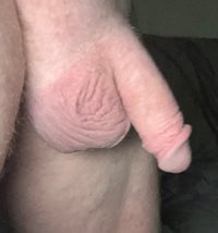Limp and hanging freshly shaved pink cock