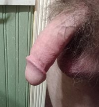 Eddie's horny semi erect cock