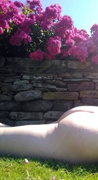 sunbathing in front of my roses