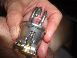 Prince Albert Piercing Chastity Cage