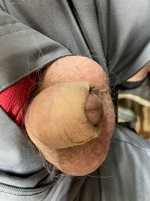 Little man did not want to cum out and play today!