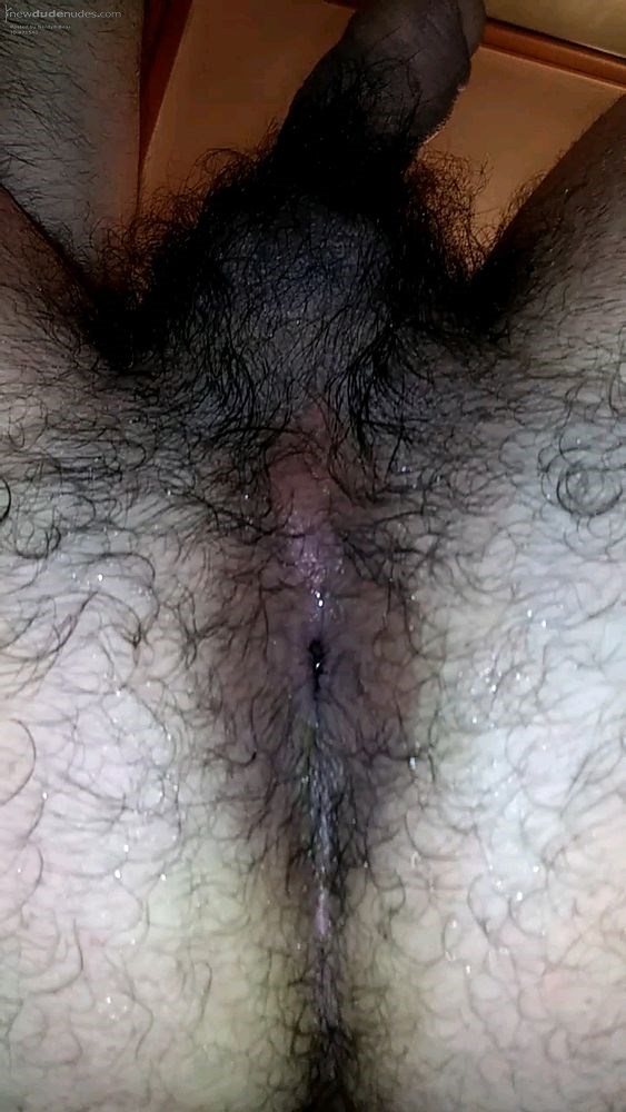 Furry bear ass with a need for seed