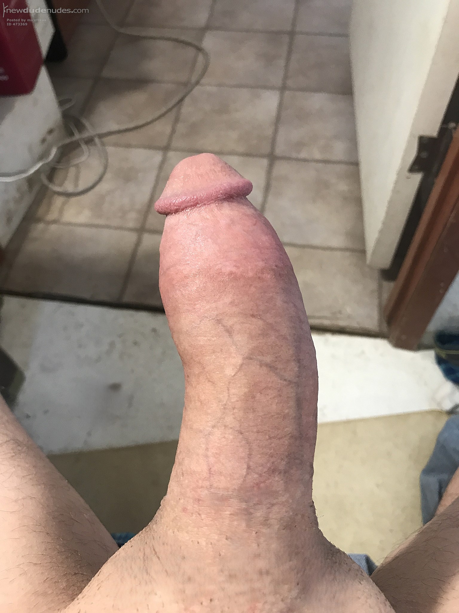 More Cock From My View