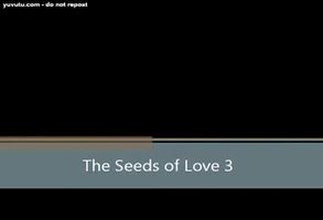 The Seeds of Love 3