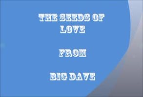 The Seeds of Love Pt 1